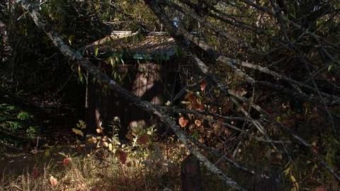 Middle Falls Campground - Pigeon-River-Provincial-Park37.jpg