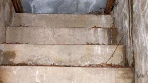 Love,Love,Love - P2140499.jpg