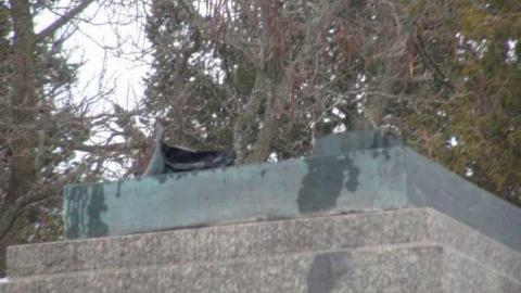 2013 Visit - Taras-Shevchenko-Park44.jpg