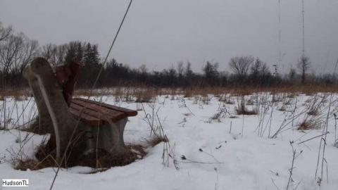 2013 Visit - Taras-Shevchenko-Park46.jpg