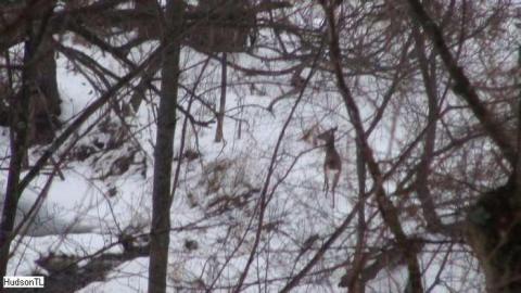 2013 Visit - Taras-Shevchenko-Park47.jpg