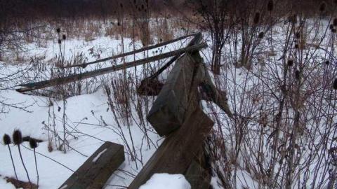 2013 Visit - Taras-Shevchenko-Park48.jpg