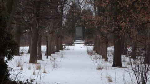 2013 Visit - Taras-Shevchenko-Park50.jpg