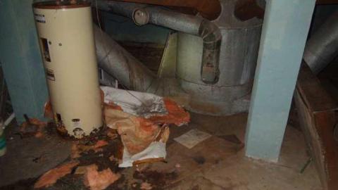 Feb 2013 - Triple-Threat43.jpg