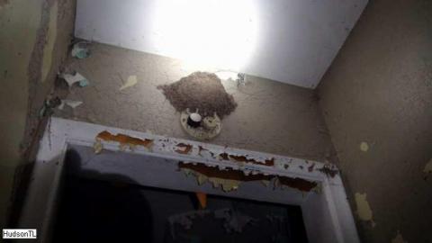 Feb 2013 Night - Triple-Threat58.jpg