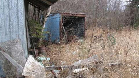 Mid Summer 2012 - Back-Road-Beauty21.jpg