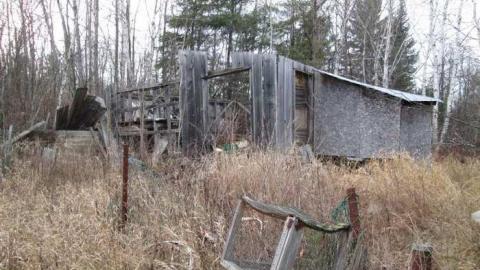 Back Road Beauty photo 2