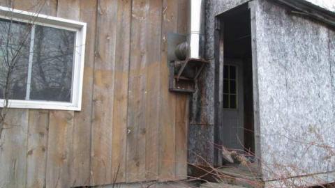 Back Road Beauty photo 3