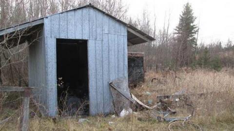 Mid Summer 2012 - Back-Road-Beauty18.jpg