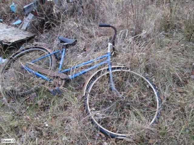 Back Road Beauty photo 5