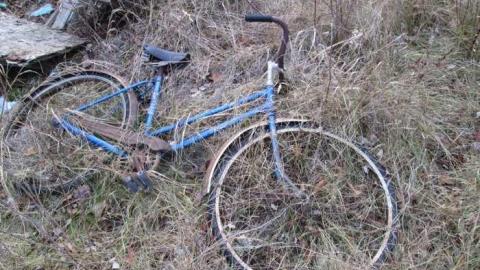 Back Road Beauty photo 5