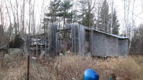 Mid Summer 2012 - Back-Road-Beauty19.jpg