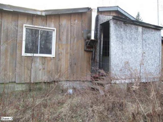 Back Road Beauty photo 4