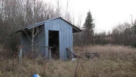 Mid Summer 2012 - Back-Road-Beauty20.jpg