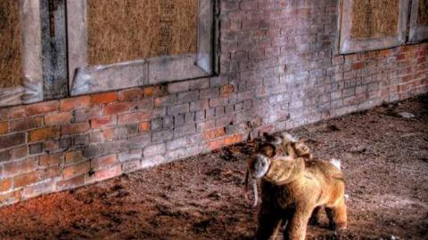 The Late Leighton - Leighton-Sheet-Metal18.jpg