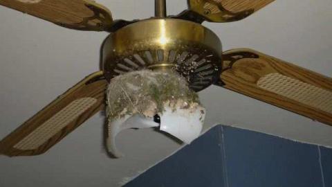 A Hare's Breadth (11/12) - Limehouse-Farm137.jpg