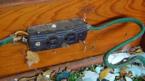 Photo from A Hare's Breadth (11/12)