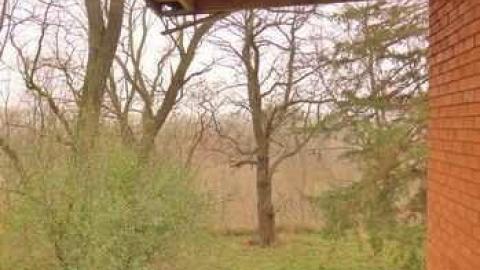 A Hare's Breadth (11/12) - Limehouse-Farm141.jpg