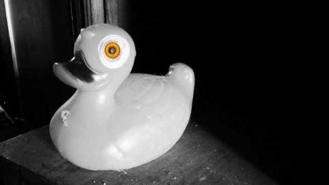 A Hare's Breadth (11/12) - Limehouse-Farm142.jpg