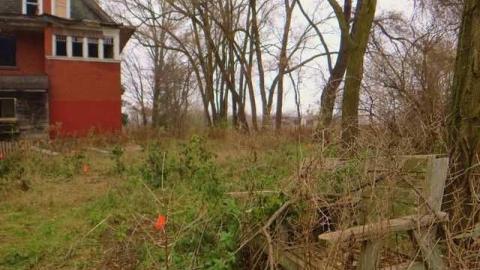 A Hare's Breadth (11/12) - Limehouse-Farm146.jpg