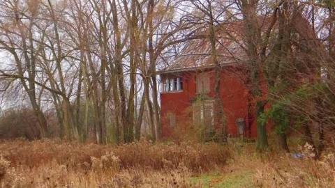 A Hare's Breadth (11/12) - Limehouse-Farm100.jpg