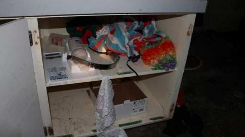 Feb. 2013 - Stoney-Creek-Dairy11.jpg