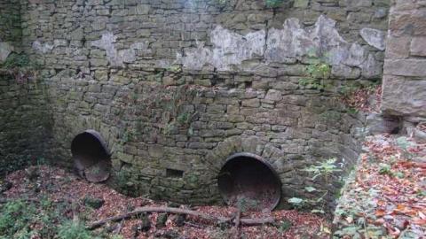 Fall Colours - Barber-Dynamo72.jpg