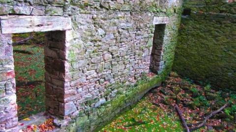 Fall Colours - Barber-Dynamo38.jpg