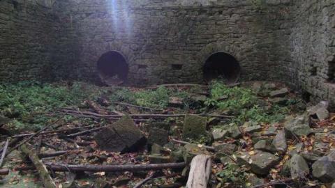 Fall Colours - Barber-Dynamo32.jpg