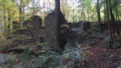 Fall Colours - Barber-Dynamo33.jpg