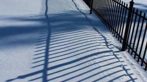 Howitt friends and family - Howitt-Pioneer-Cemetery38.jpg