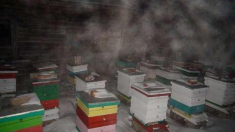 Feb 2013 Night - Carrique-Property13.jpg