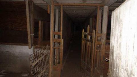 Feb 2013 Night - Carrique-Property11.jpg