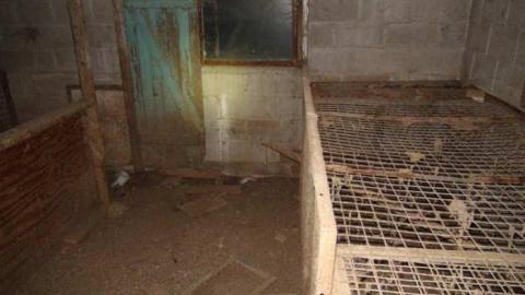 Feb 2013 Night - Carrique-Property12.jpg