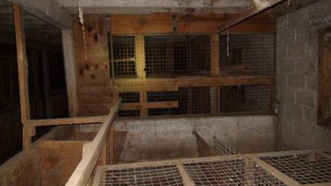 Feb 2013 Night - Carrique-Property25.jpg