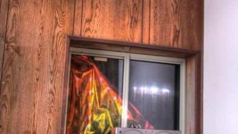 Photo from Feb /13 Visit