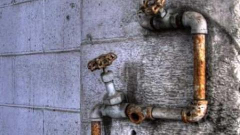 Photo from Feb /13 Visit