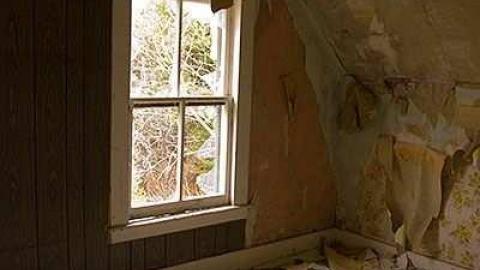 Kilty Switch photo 2