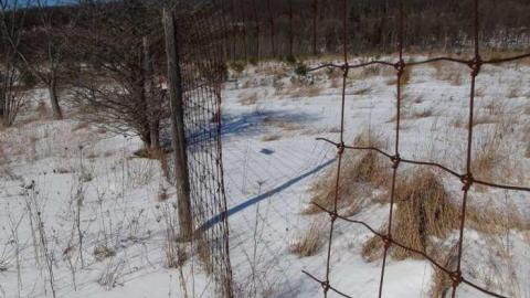 Feb 2013 - Buffalo-Compound2.jpg