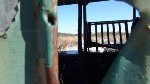 Feb 2013 - Buffalo-Compound23.jpg