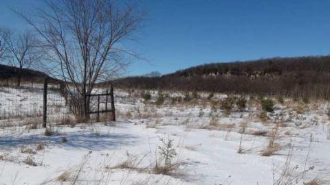 Feb 2013 - Buffalo-Compound3.jpg