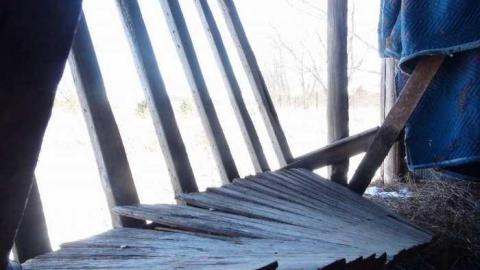 Buffalo Compound photo 2