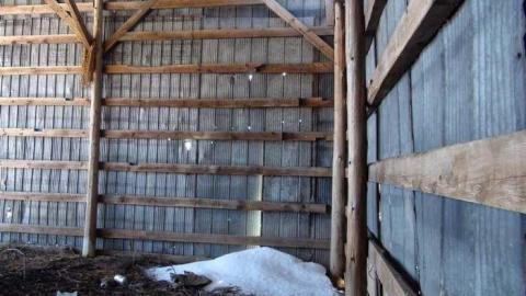 Feb 2013 - Buffalo-Compound25.jpg