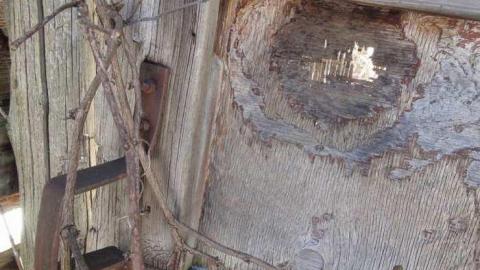 Feb 2013 - Buffalo-Compound26.jpg