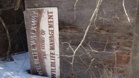 Feb 2013 - Buffalo-Compound6.jpg