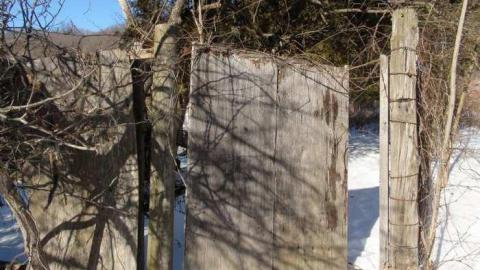 Feb 2013 - Buffalo-Compound27.jpg