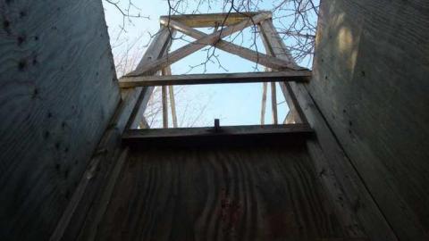 Feb 2013 - Buffalo-Compound7.jpg