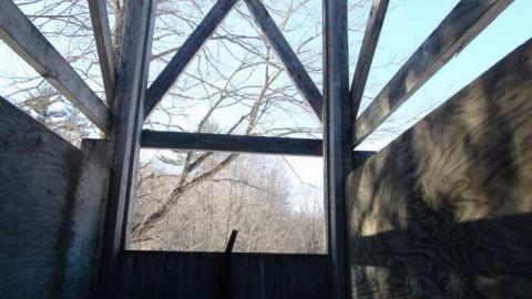 Buffalo Compound photo 4