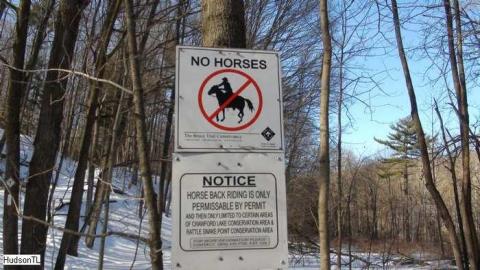 Feb 2013 - Buffalo-Compound9.jpg