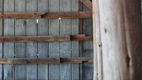 Feb 2013 - Buffalo-Compound16.jpg